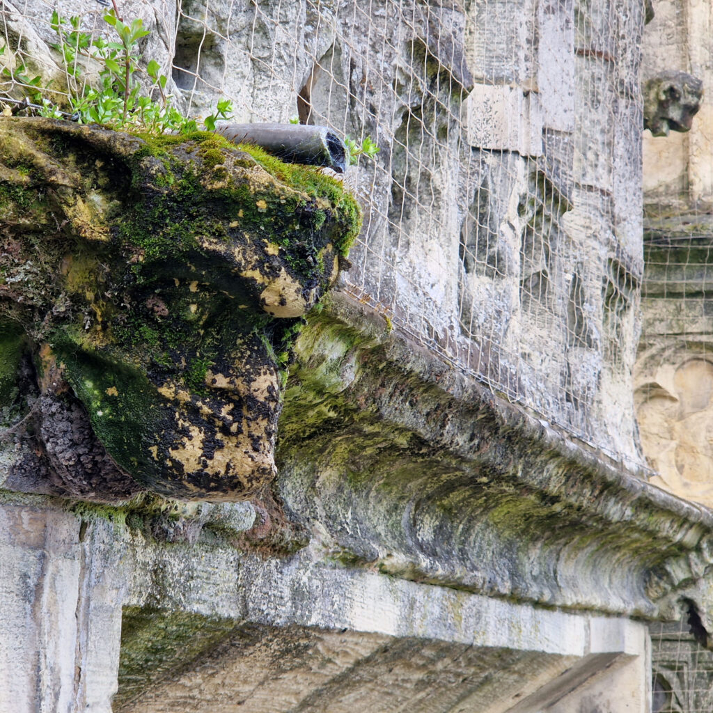 St Peter’s School, York building issues